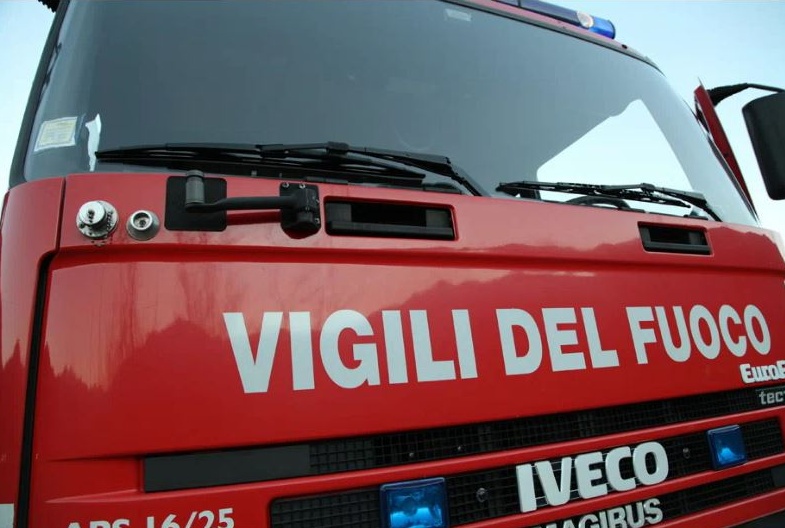 Pompieri salvano una famiglia di anatroccoli