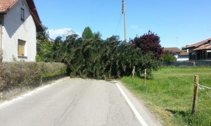 Strada chiusa in via Beati a Castelletto: la polizia locale raccomanda cautela