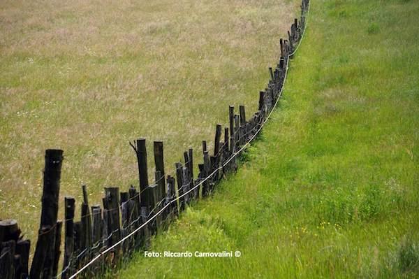 Ad Ameno la Settimana del Quadrifoglio