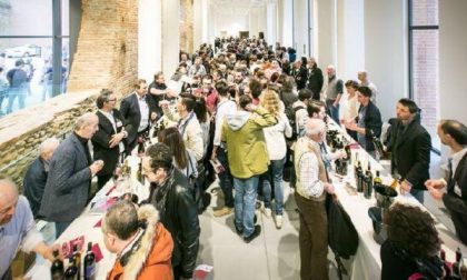 Al castello di Novara protagonisti i vini dell’Alto Piemonte