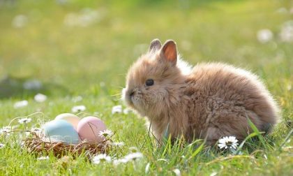 Auguri di Buona Pasqua