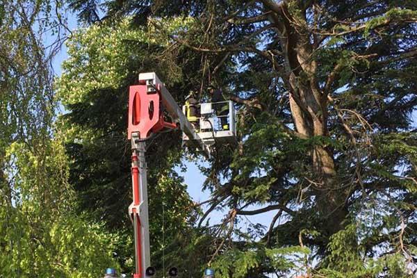 Danni del vento: intervento a Suno