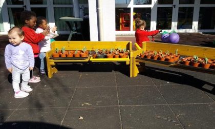 "Giovani e ambiente": un orto in ogni scuola di Borgomanero