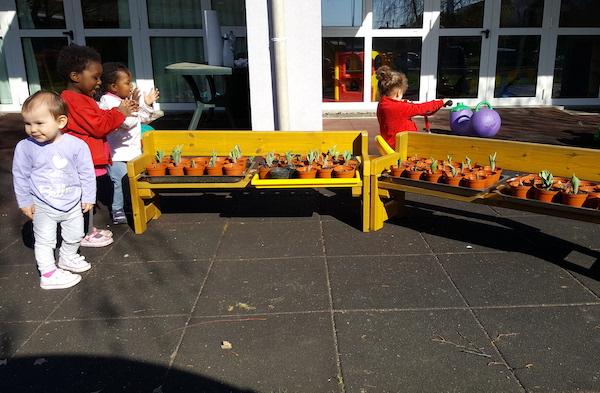 “Giovani e ambiente”: un orto in ogni scuola di Borgomanero