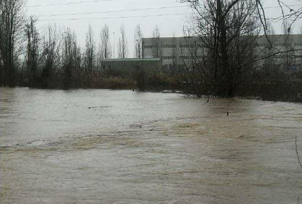 Pernate contro Cim, il Gip ha deciso: si deve indagare