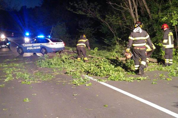 Vento: strada chiusa a Comignago per la caduta di un albero