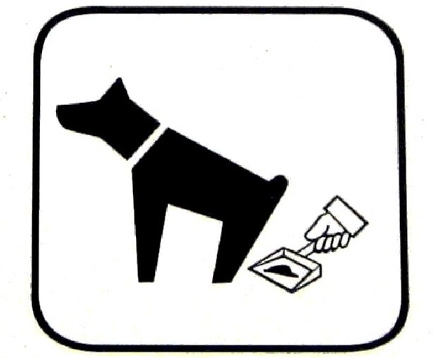 Arona, deiezioni canine: “Situazione indecorosa”