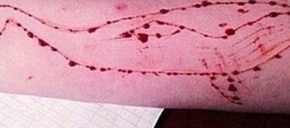 Blue Whale, il gioco dei suicidi: ecco i comportamenti dei figli a rischio