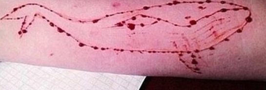 Blue Whale, il gioco dei suicidi: ecco i comportamenti dei figli a rischio