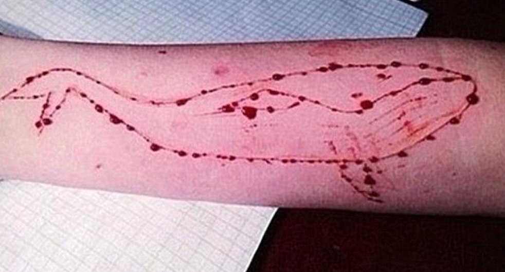 Blue whale: in aumento i casi in Italia