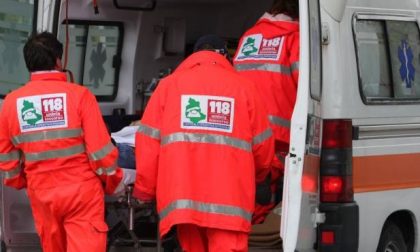 Investe un capriolo in moto: 38enne muore nell'impatto