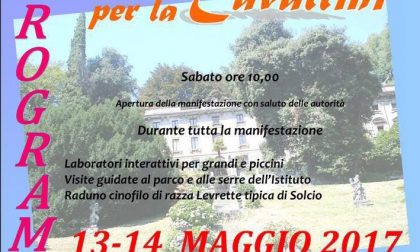 Lesa: Fai per la Cavallini