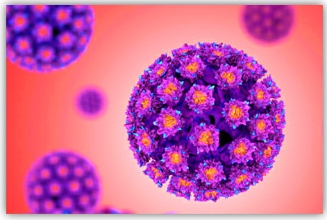 Papilloma virus, questo sconosciuto