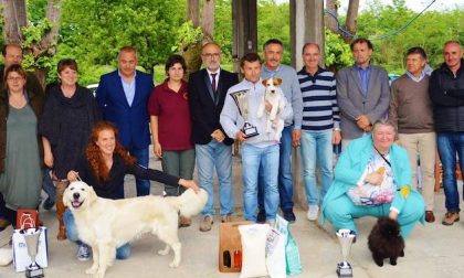 Al parco di Villa Marazza il Trofeo cinofilo del Lions Club Borgomanero Host