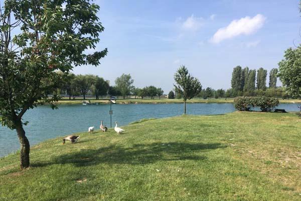 Weekend al laghetto con “Maggiopeople”, a Cameri c’è OrTicino