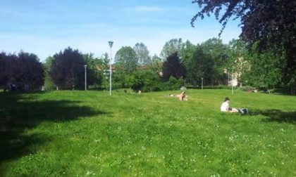 Festa della famiglia al Parco delle Betulle