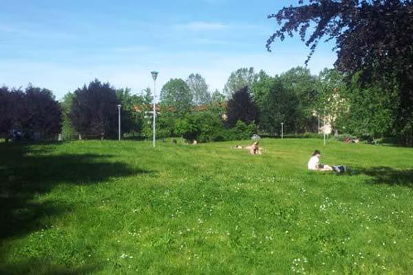 Festa della famiglia al Parco delle Betulle