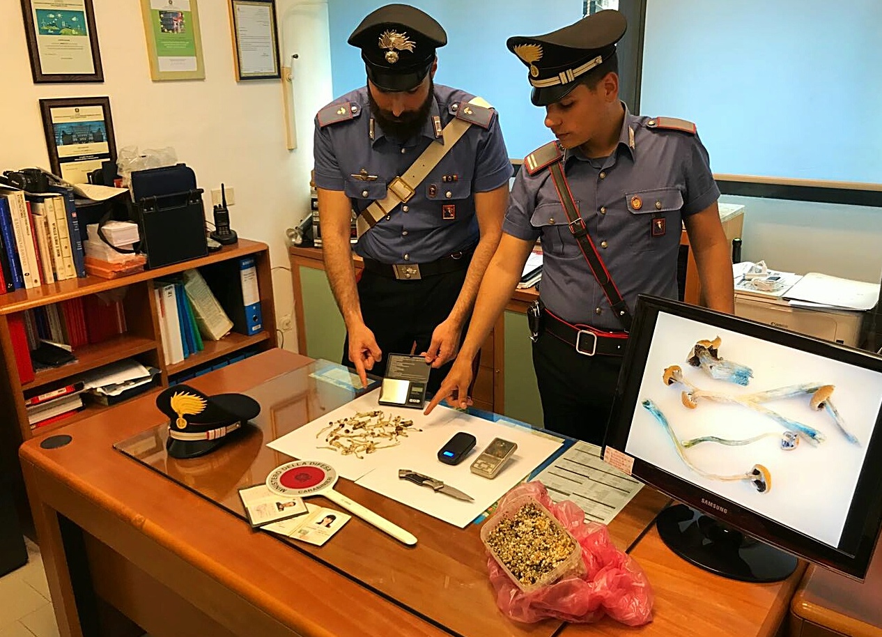 Baveno: trovati in casa con 23 grammi di funghi allucinogeni
