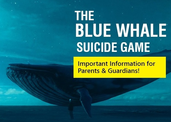 Blue whale: 15 casi nel veronese