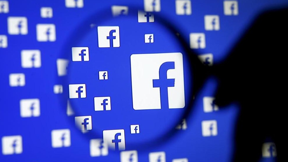 Compra un container per galline su Marketplace di Facebook ma era una truffa