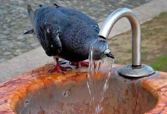 L’estate 2017 sarà “un forno”