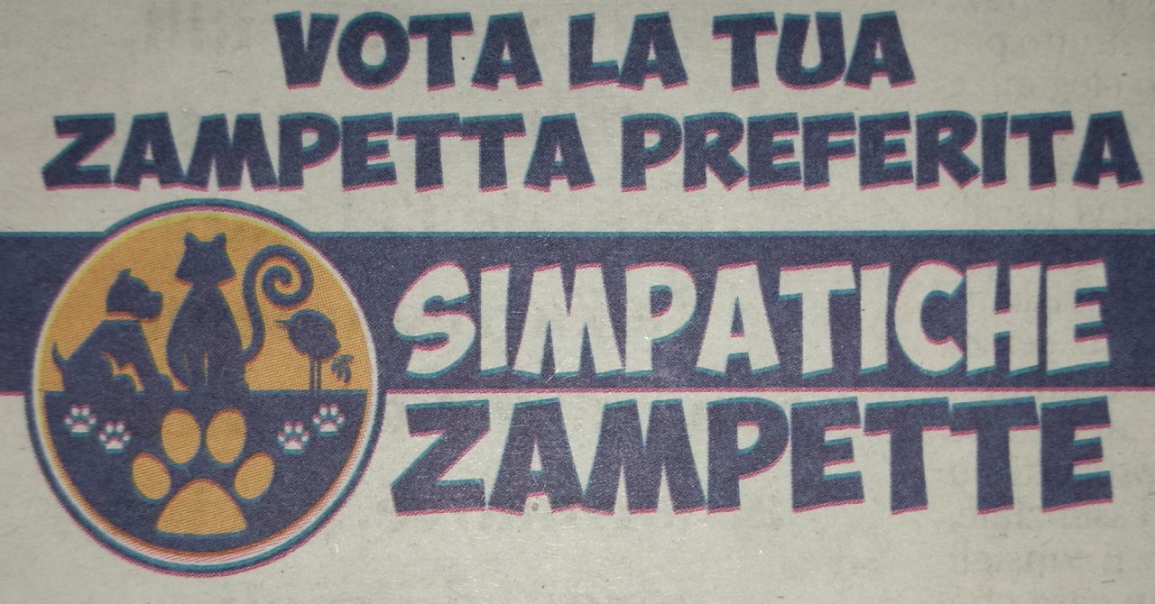 Simpatiche zampette: la sfida entra nel vivo