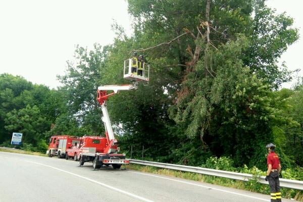 Alberi pericolanti a Borgomanero, intervento dei Vigili del fuoco