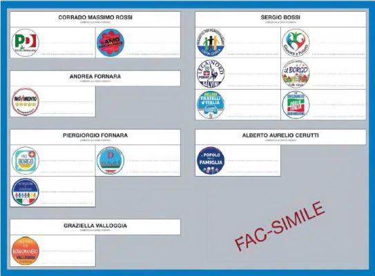 Elezioni a Borgomanero, i sei candidati a confronto