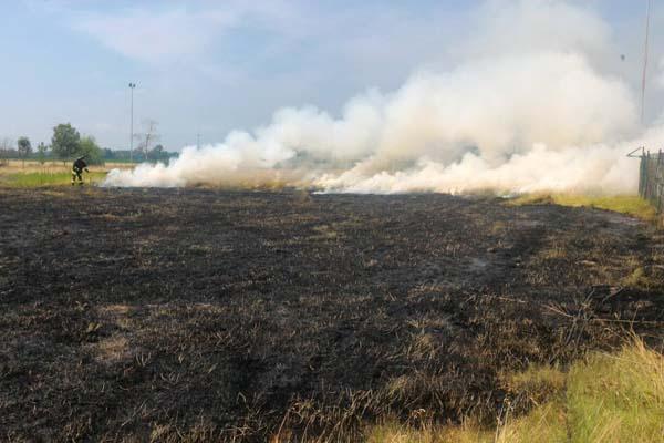 In fiamme 250 mq di sterpaglie nell’area dell’ex Cavallotta