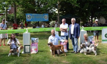 La carica dei 111 al Parco di Villa Marazza