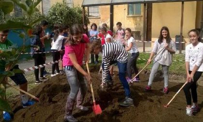 Un premio all’orto del benessere creato a scuola