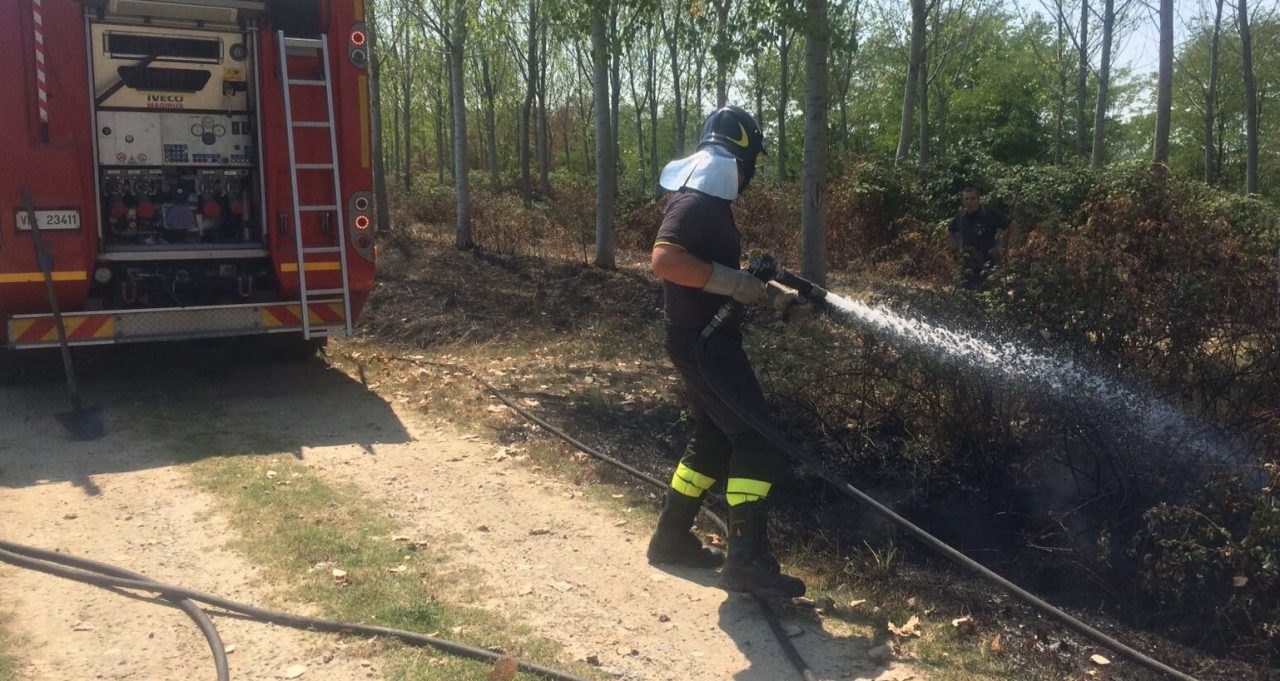 A fuoco alcune sterpaglie nella ex discarica