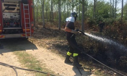 A fuoco alcune sterpaglie nella ex discarica