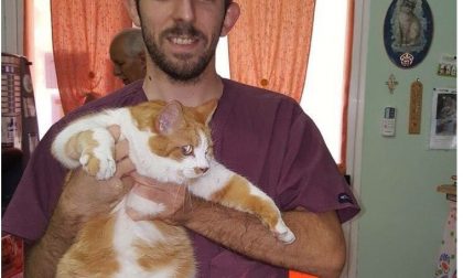 Abbandonato, cerca una nuova casa