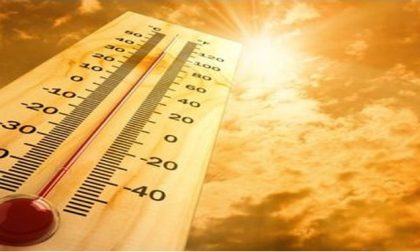 Calura estiva: bisogna prestare molta cautela