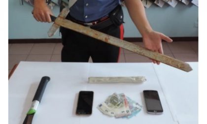 Spacciatori nei boschi con machete lungo un metro