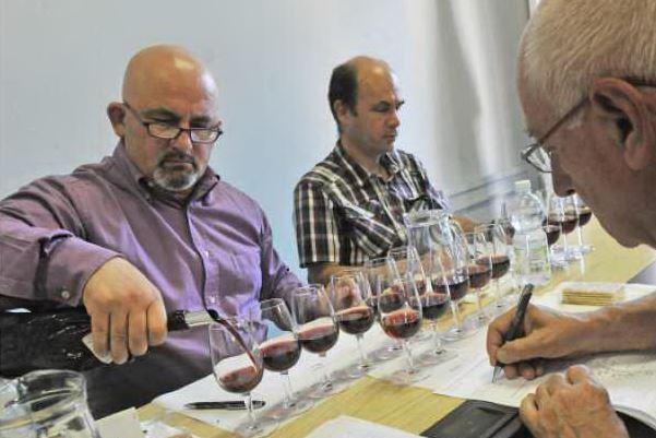 “Grappolo d’argento”: ecco i premiati con la targa