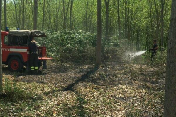 Incendio nell’area della vecchia discarica
