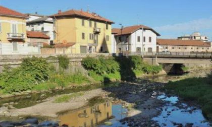 Ratti e piccioni regnano sull’Agogna