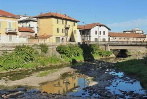 Ratti e piccioni regnano sull’Agogna