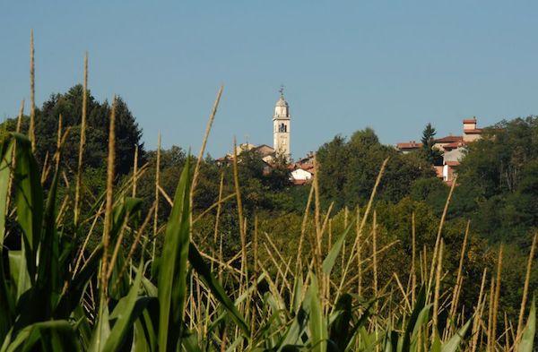 Torna la Corsa delle botti