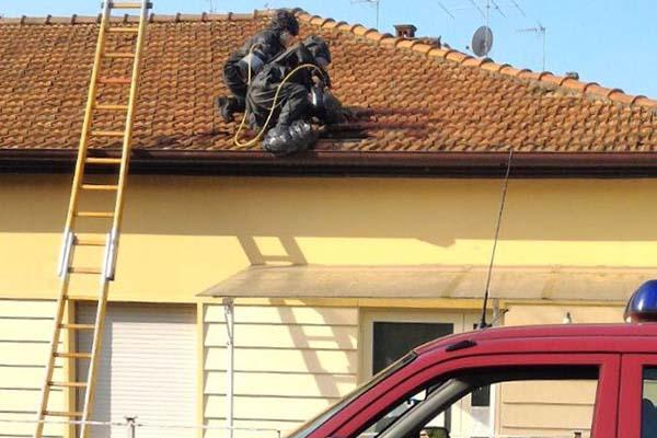 70 interventi in pochi giorni per eliminare nidi di calabroni da parte dei vigili del fuoco