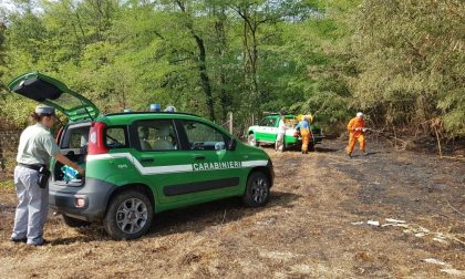 Incendio a Barengo: una denuncia