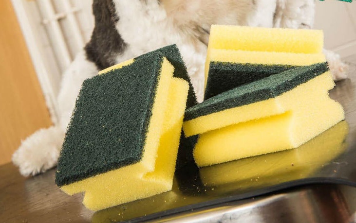 La spugna da cucina: peggio, solo le feci
