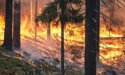 Piemonte: migliaia di ettari in fiamme