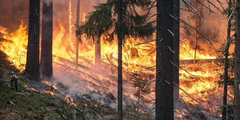 Piemonte: migliaia di ettari in fiamme