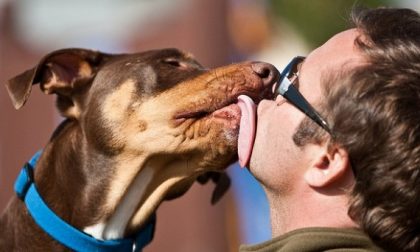 Ricerca: farsi "baciare" dal cane può essere fatale