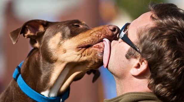 Ricerca: farsi “baciare” dal cane può essere fatale