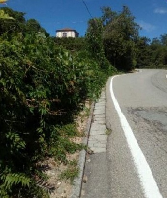 “Salire a San Carlo? Un percorso a ostacoli”