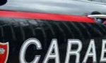 Tenta il furto in farmacia: arrestato